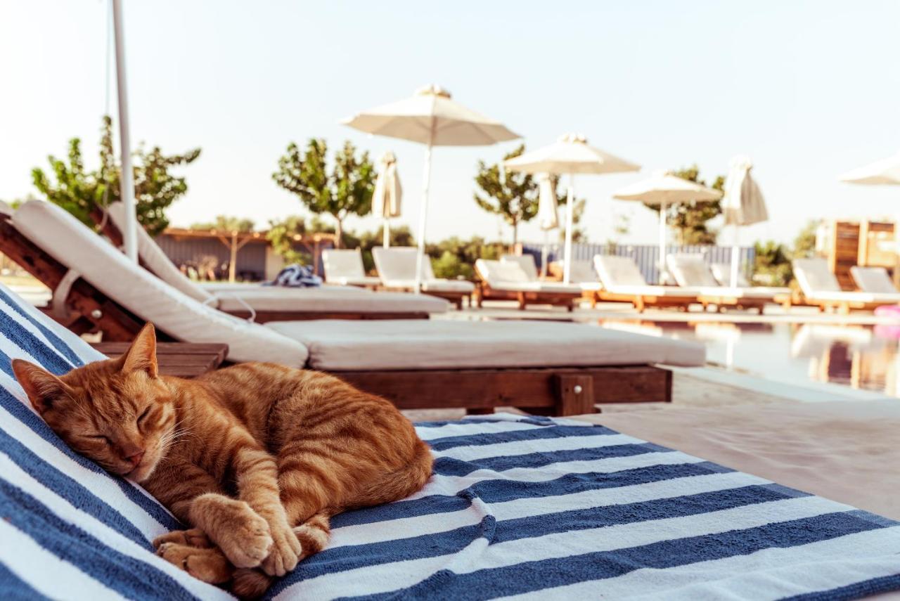 Sails On Kos Ecolux Tented Village Marmari  Exterior foto